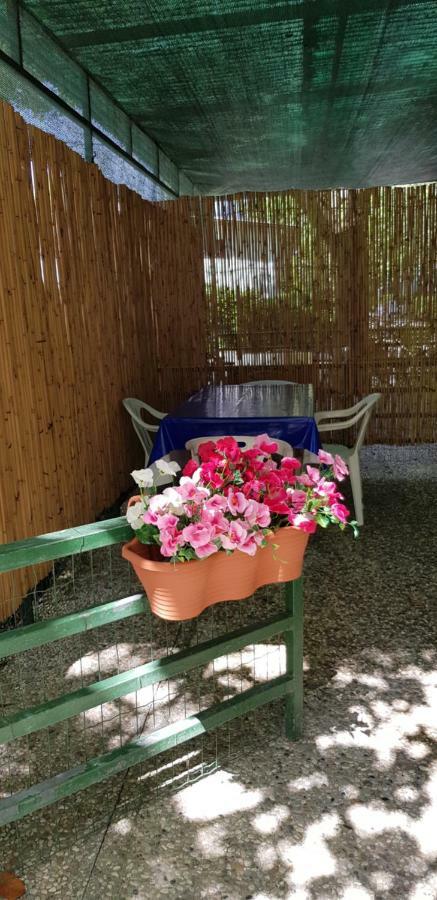 Camping Nuovo ماسا المظهر الخارجي الصورة